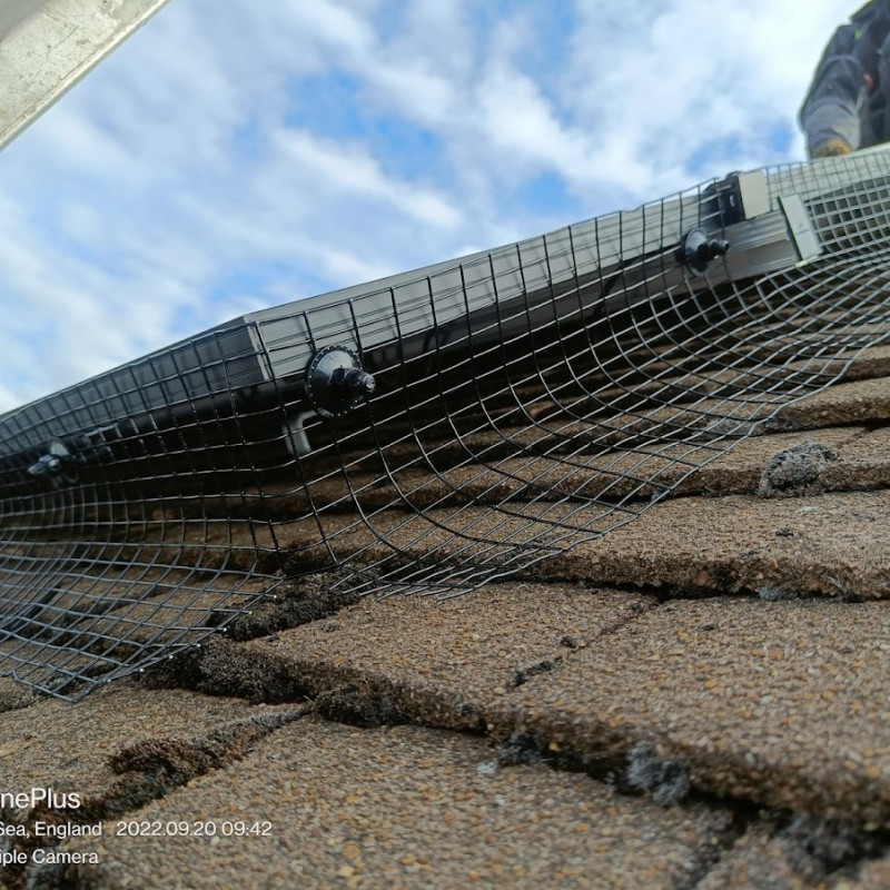 Solar panel bird proofing services now available
